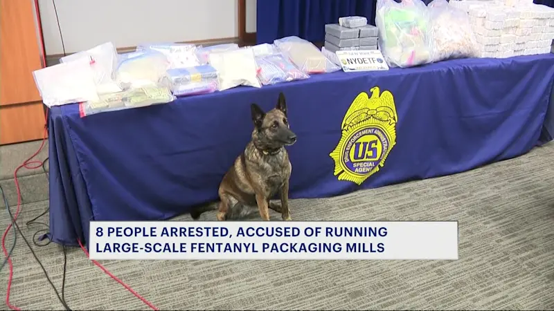 Story image: K-9 exposed during major fentanyl raid in the Bronx and Washington Heights