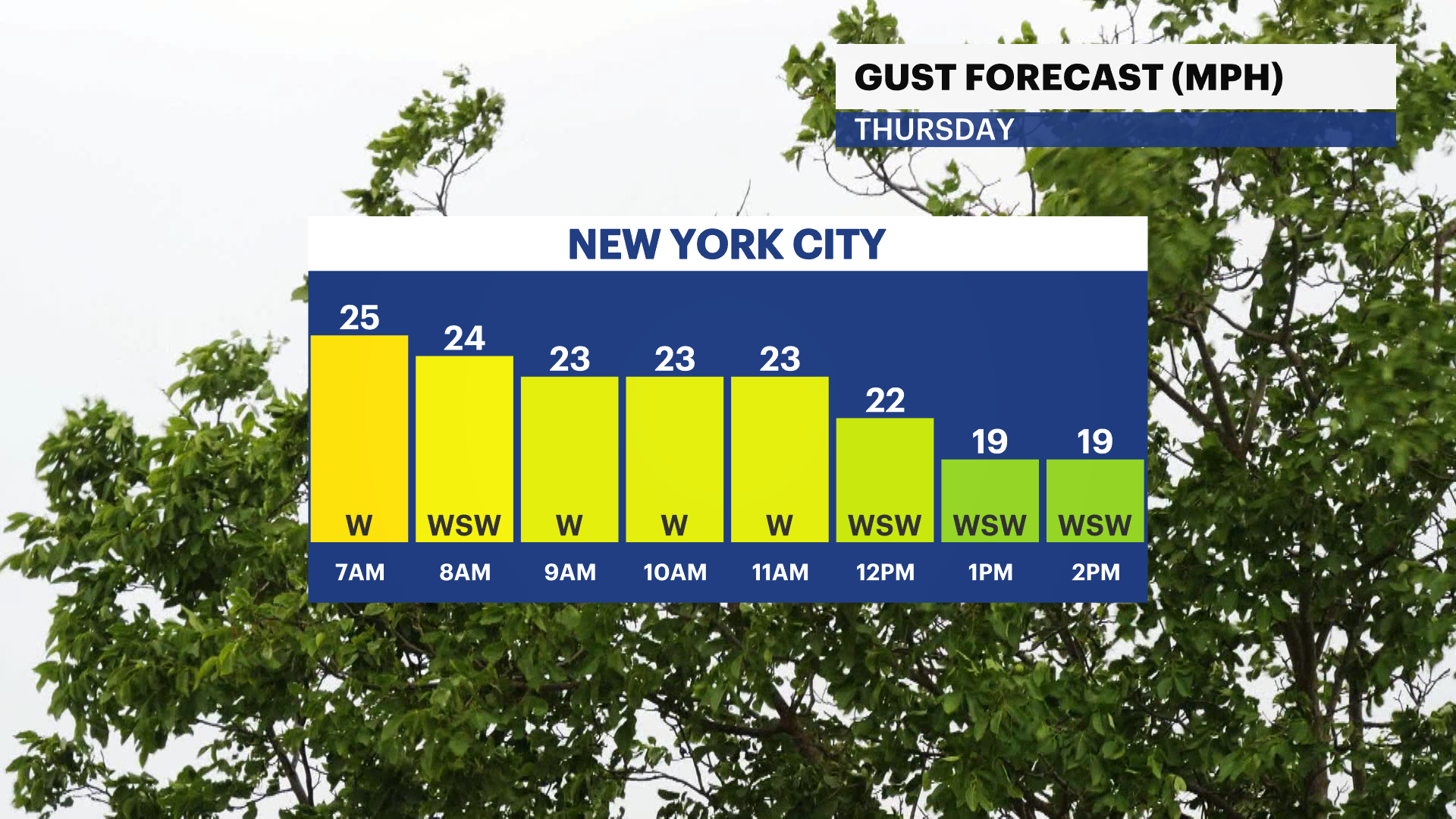 Sunny, cooler and breezy conditions heading into the weekend for The Bronx