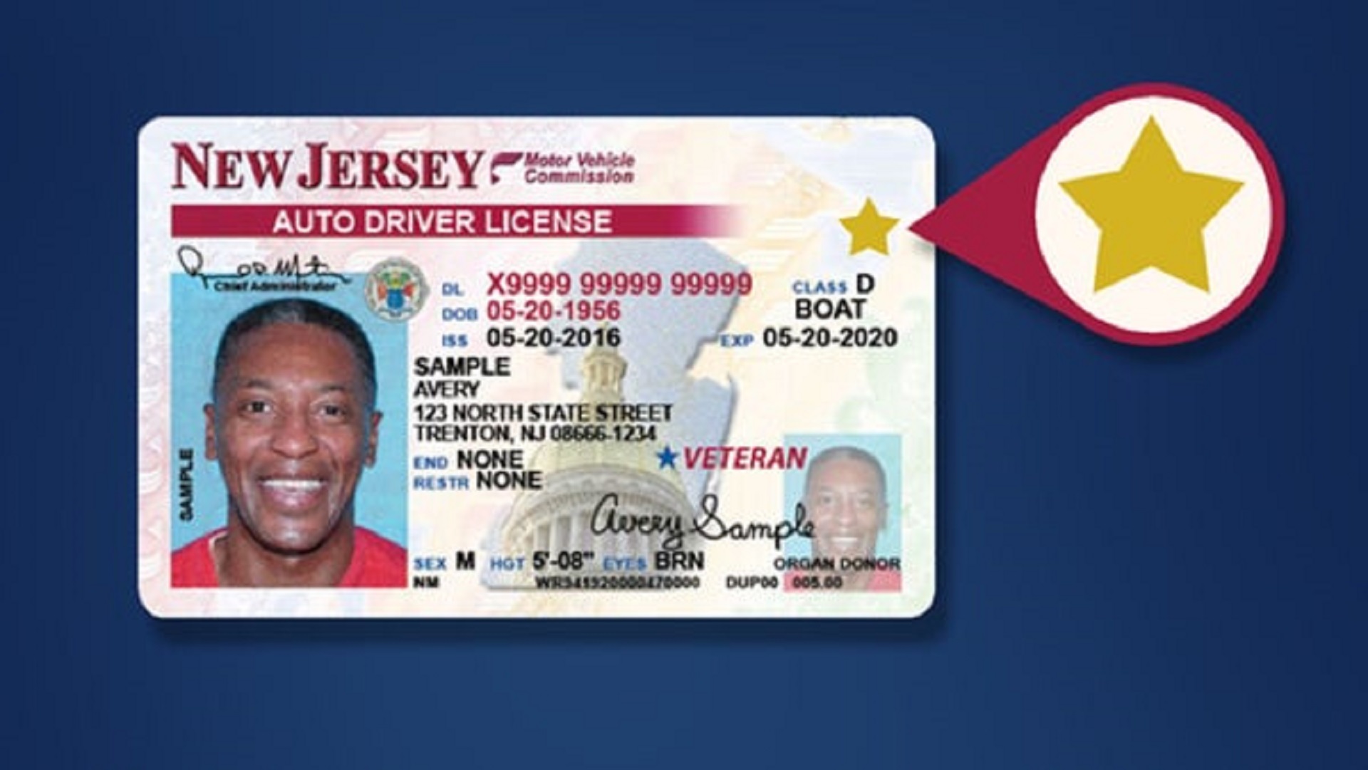 Article 297444 Hero Image