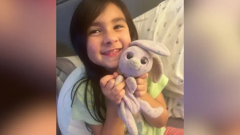 Story image: Viral search underway for 'Sprinkles' after Rock Hill girl loses beloved stuffed bunny on Metro-North