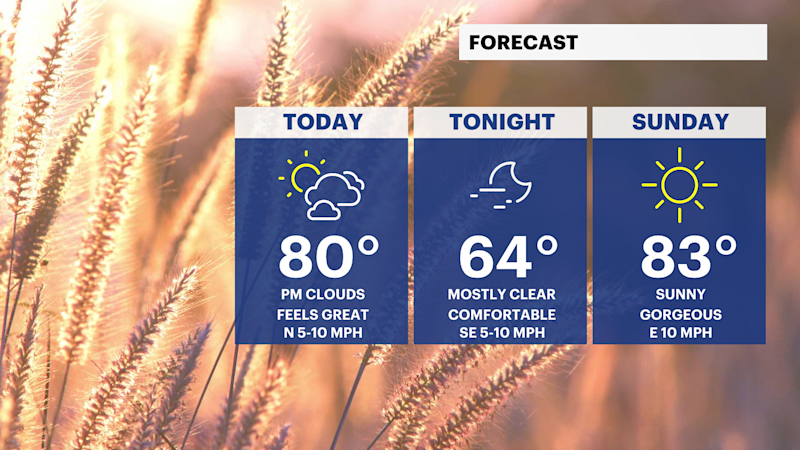 Story image: Sunshine followed by some clouds today in The Bronx