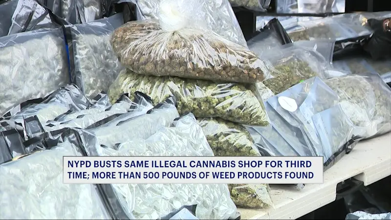 Story image: Third times a crime: Illegal Mott Haven cannabis shop raided again