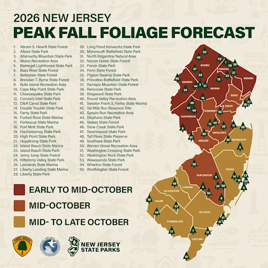 FALL FOLIAGE MAP