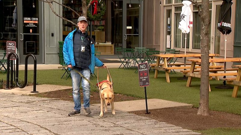 Story image: Man finds Treasure – service dog gave him a new lease on life
