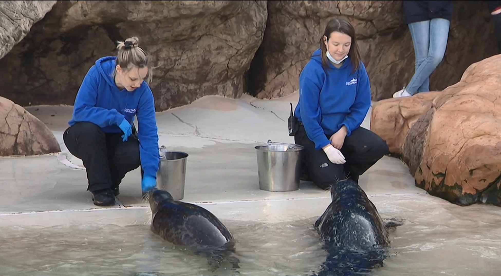 East End Full Show Long Island Aquarium, Cooperage Inn NoFo Pot Pies