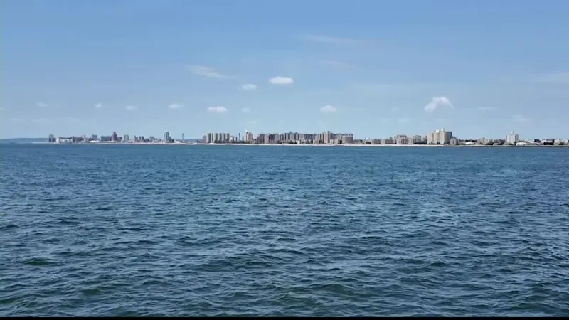 Story image: Whale watching cruises make waves in Brooklyn