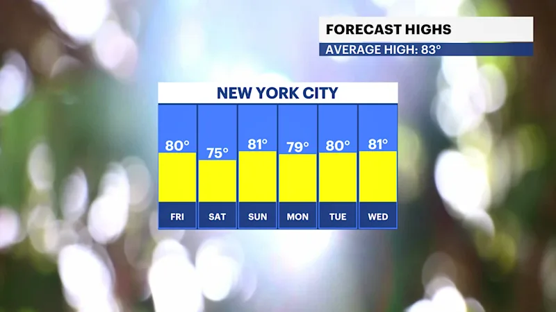 NYC TEMP.png