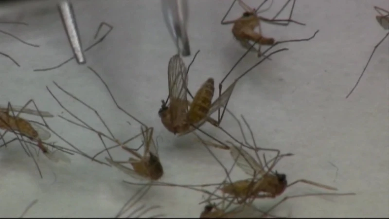 Story image: Connecticut experiences early start to West Nile virus season