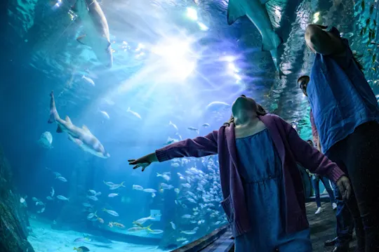 Adventure-Aquarium-Full-res-5-23-333