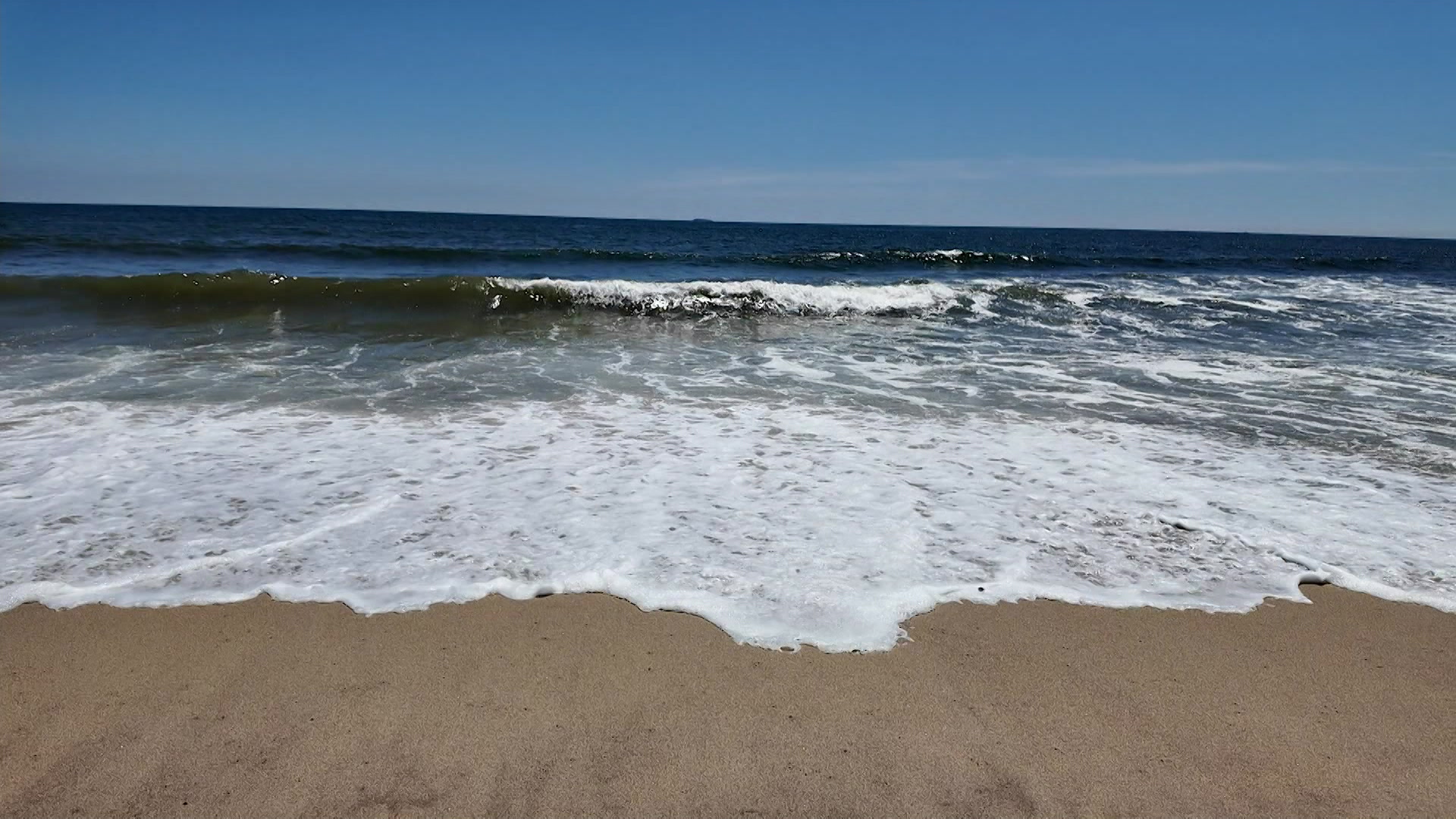 REbeachfecalpkg_2026-07-08-17-41-35