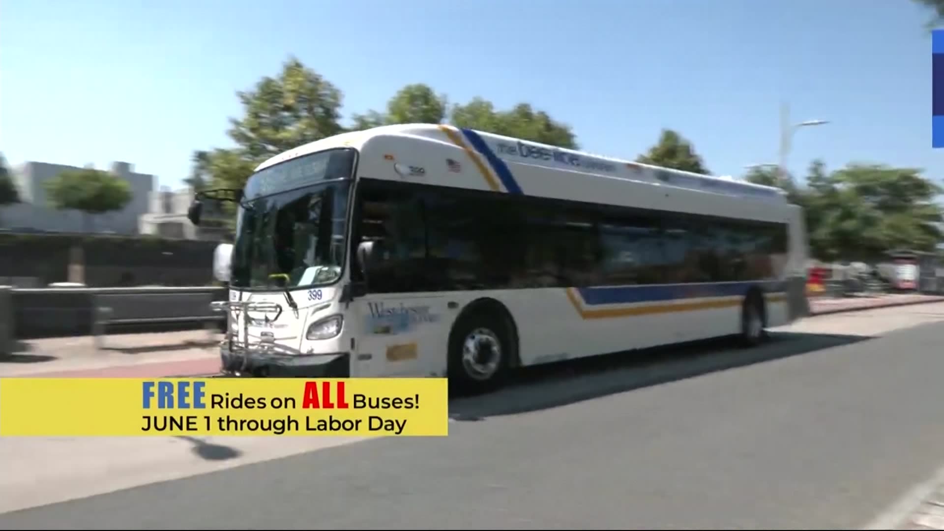 BeeLine Bus System offers free fare summer program