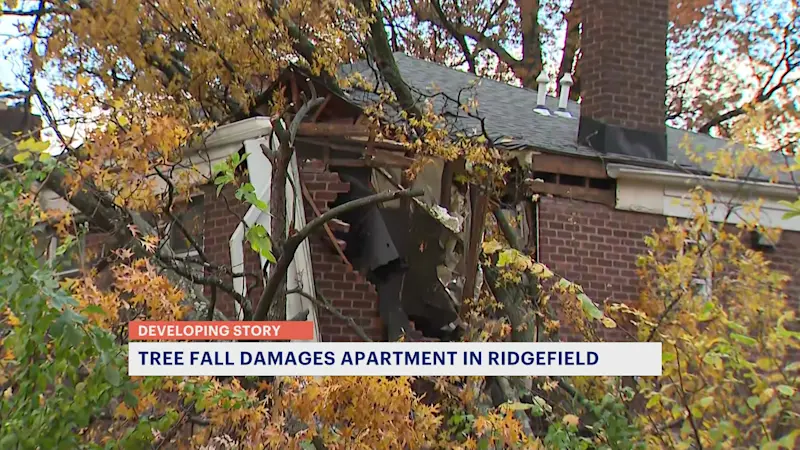 Story image: Ridgefield teen escapes injury after tree crashes onto home during windstorm