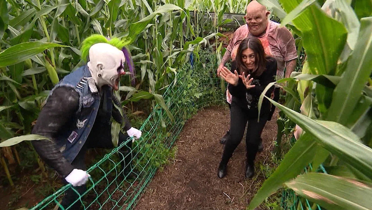 Schmitts Farm Haunt