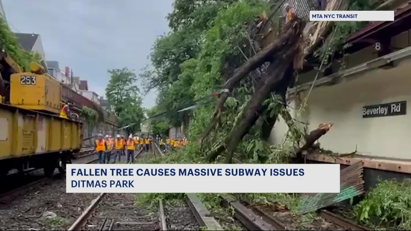 Story image: Fallen tree on tracks in Ditmas Park causes massive subway issues