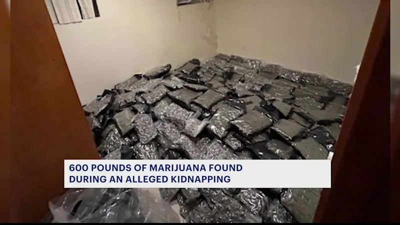 Story image: Over 600 pounds of marijuana found after alleged kidnapping in Dyker Heights