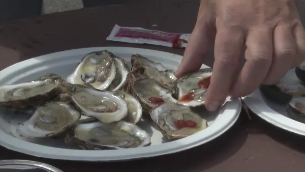 Connecticut launches first-ever oyster trail, celebrating state's culinary delicacies