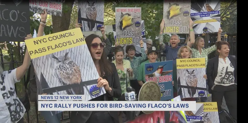 Story image: Rally at City Hall pushes for 'Flaco’s Laws' to protect NYC birds