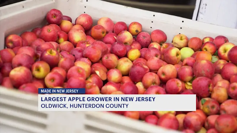Story image: Made in New Jersey: Melick's Town Farm turns fall apples into cider magic