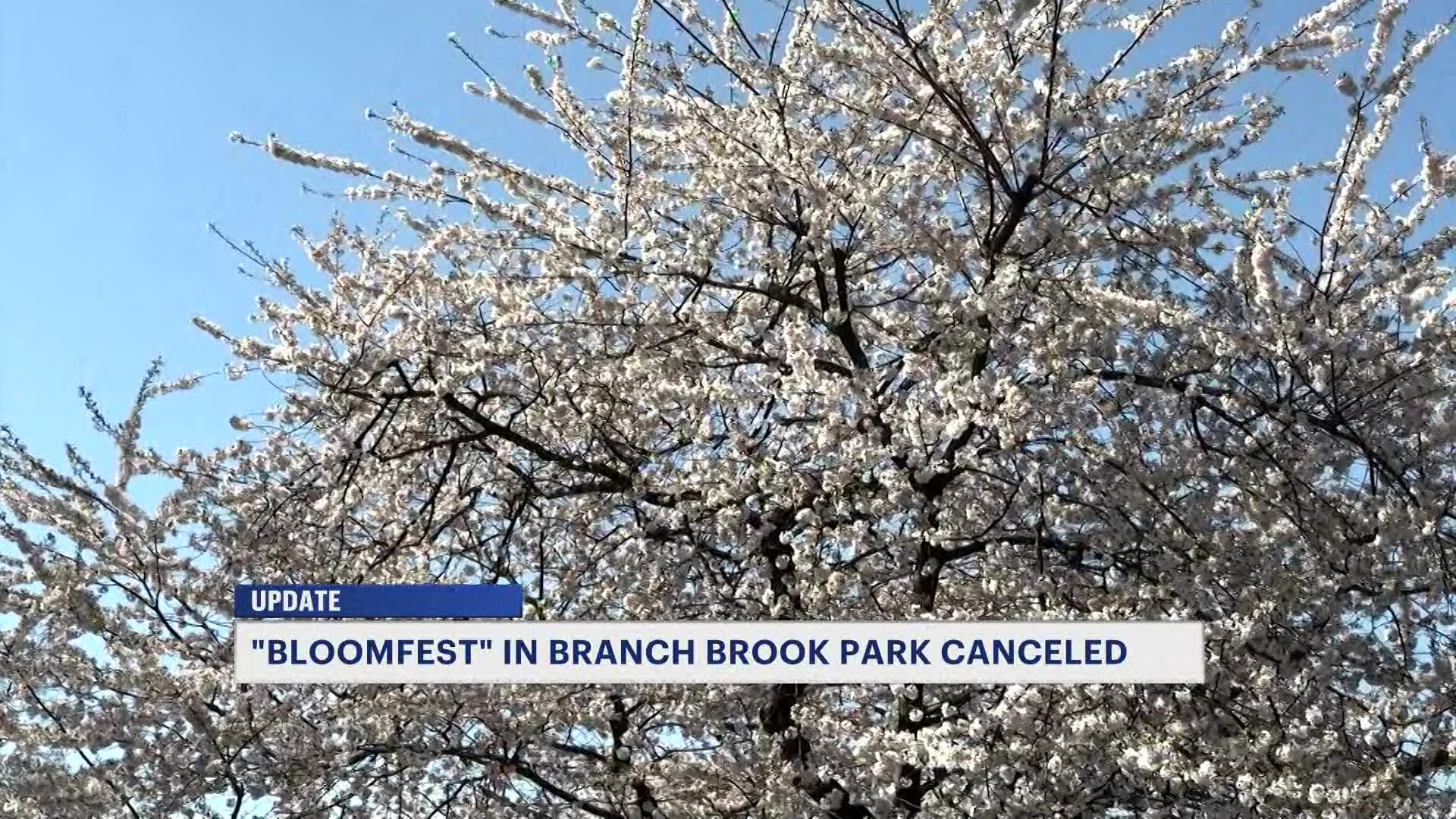 419NJBloomfieldcan_2026-04-19-12-21-00