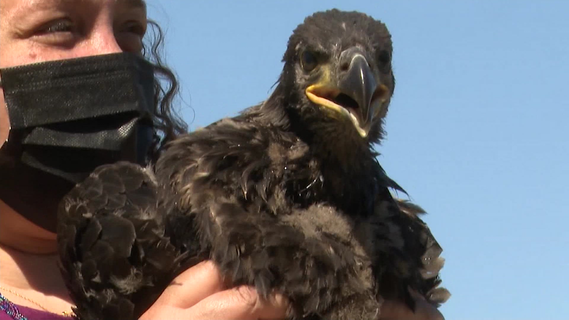 newjersey.news12.com