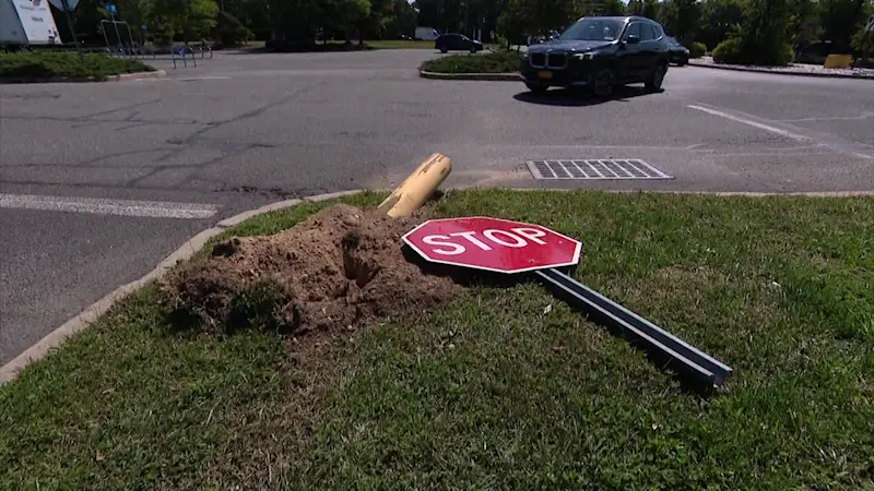 Story image: Woman accused of carjacking, intentionally running over 84-year-old