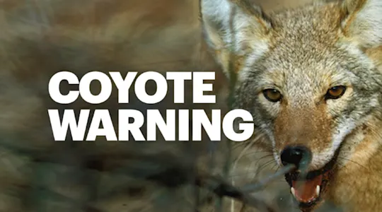Coyote warning