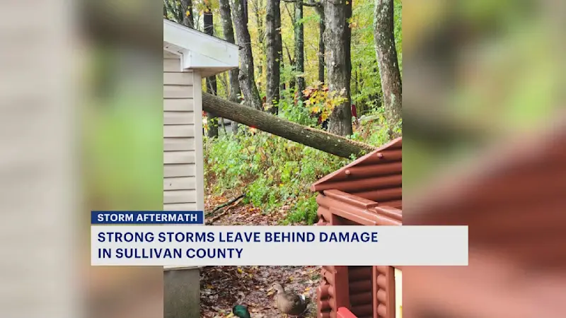 Story image: Strong storms leave behind damage in Sullivan County