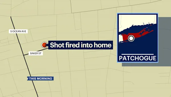 Shooting News Image