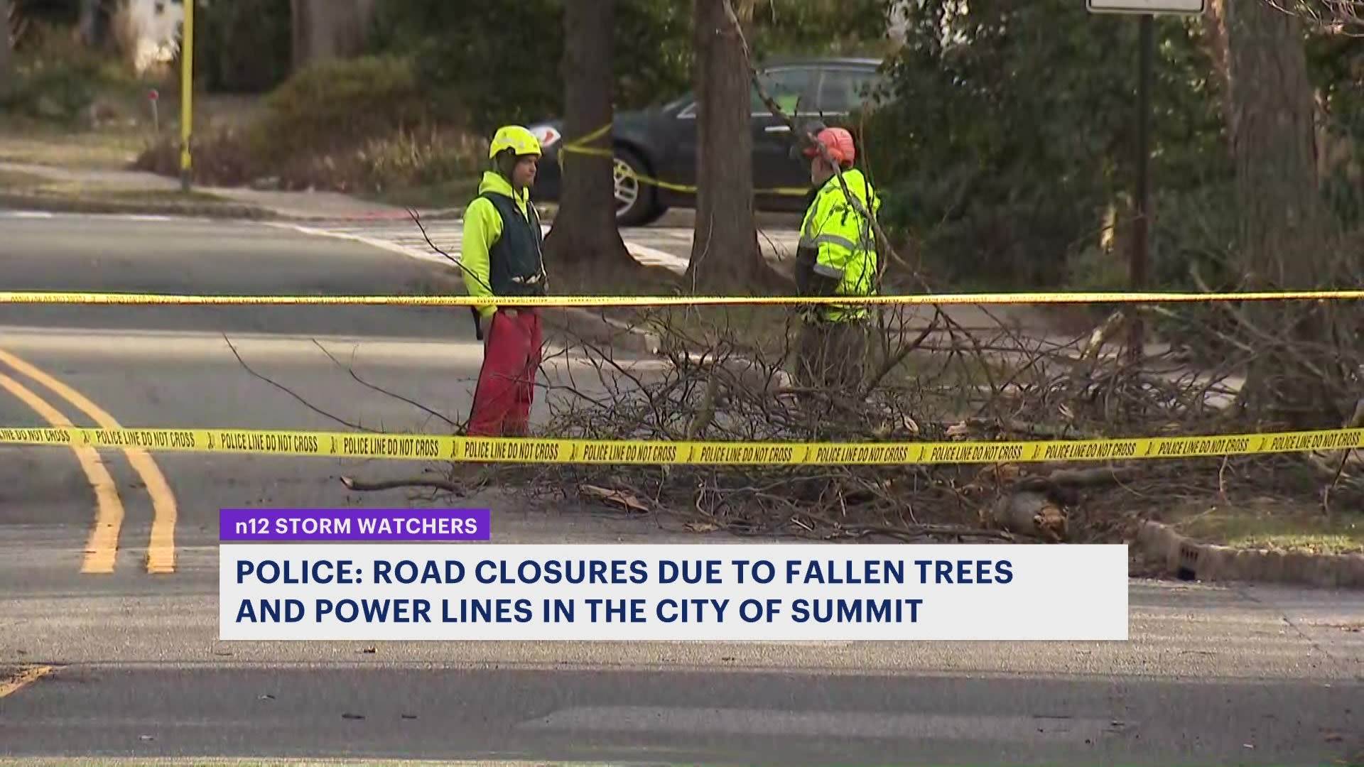 Heavy winds topples trees, downs power lines across New Jersey towns