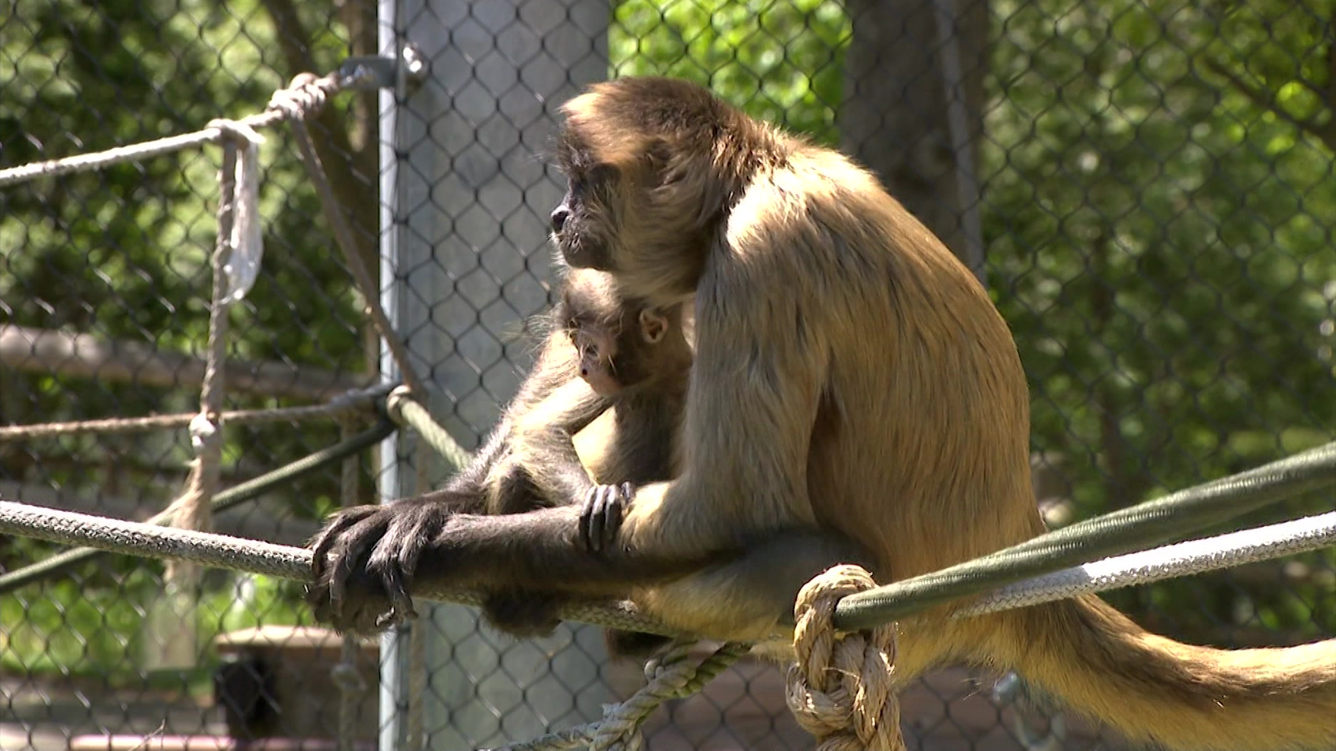 0514CT_BeardsleyZoo_2026-05-14-06-13-56