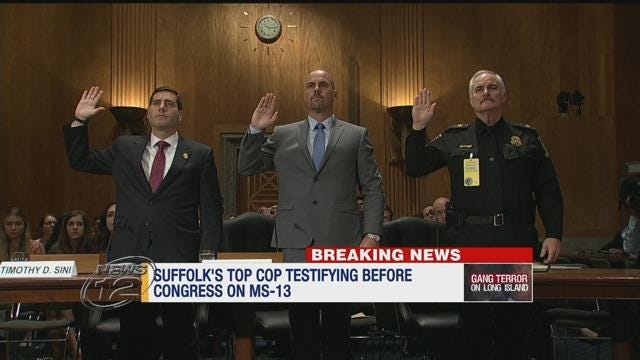 Article 118682 Thumbnail