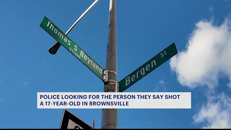 Story image: NYPD: Teen shot in ankle in front of Brownsville elementary school; 1 suspect sought