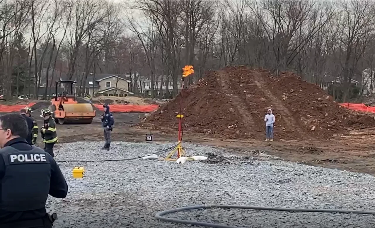 Article 289853 Hero Image