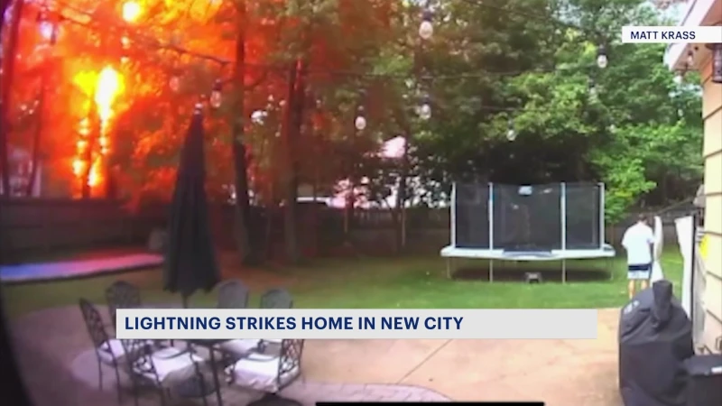 Story image: Lightning strikes tree by New City man taking dog outside