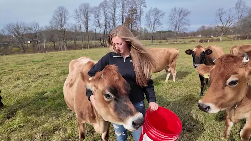 Story image: Road Trip Close to Home: Farm-fresh meats and dairy featured at Millbrook Beef & Dairy