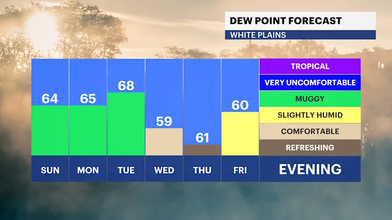 FB_Dewpoint_Daily.png