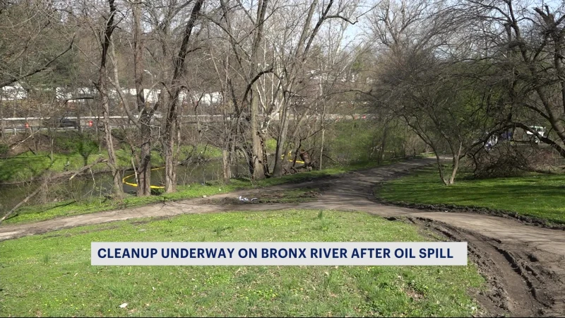 Story image: Bronx River Alliance: Oil spill was ‘bad timing’ for waterfowl