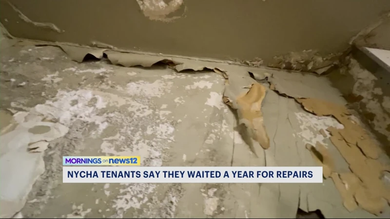 Story image: Senior couple waits a year for kitchen repairs in NYCHA apartment