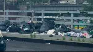 Mount Eden residents say area near Cross Bronx is hotspot for illegal garbage dumping