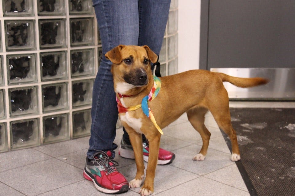 Article 113062 Thumbnail