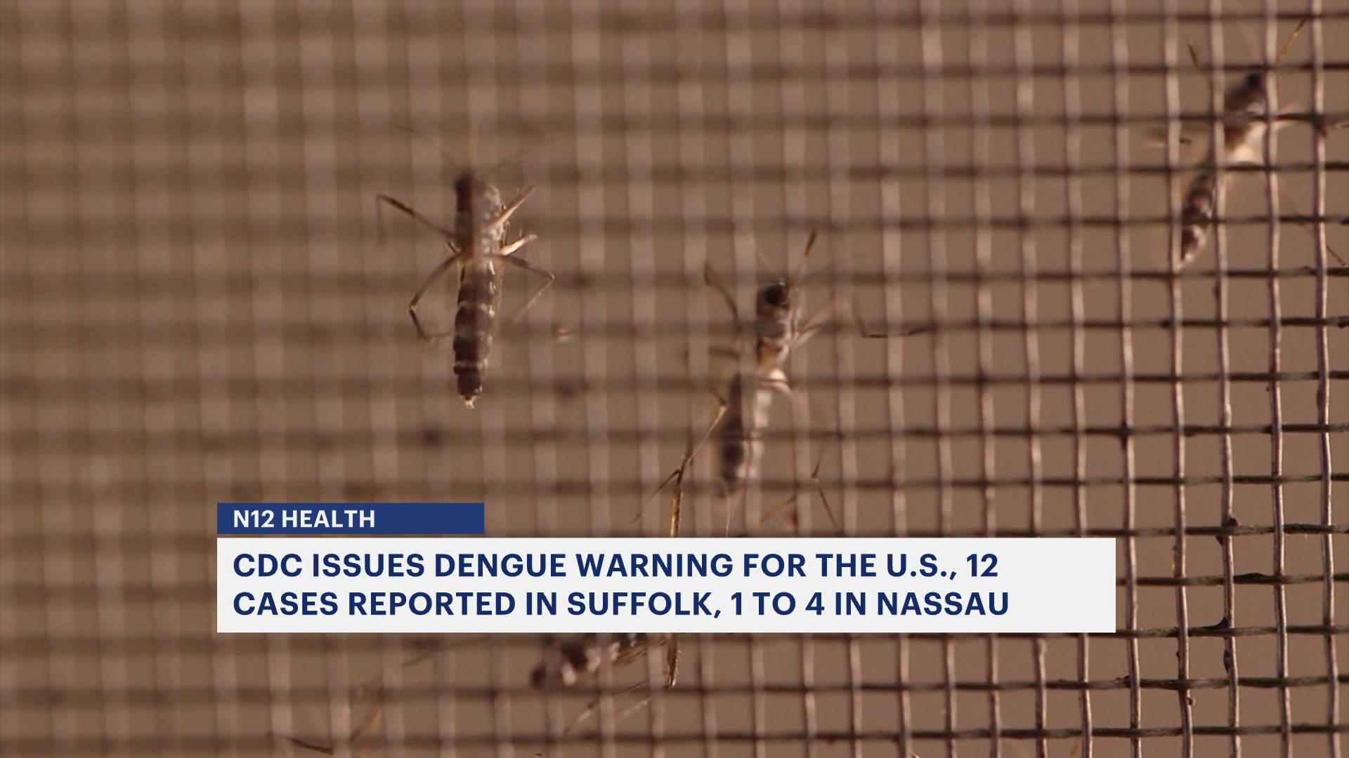 CDC issues Dengue warning Up to 16 cases reported on Long Island  News 12  Long Island