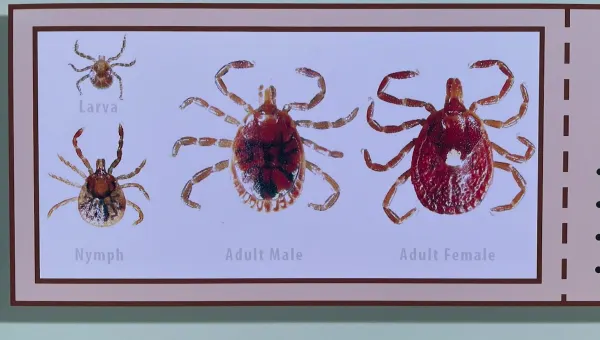 Tick season is getting more dangerous. Here’s how CT is fighting back
