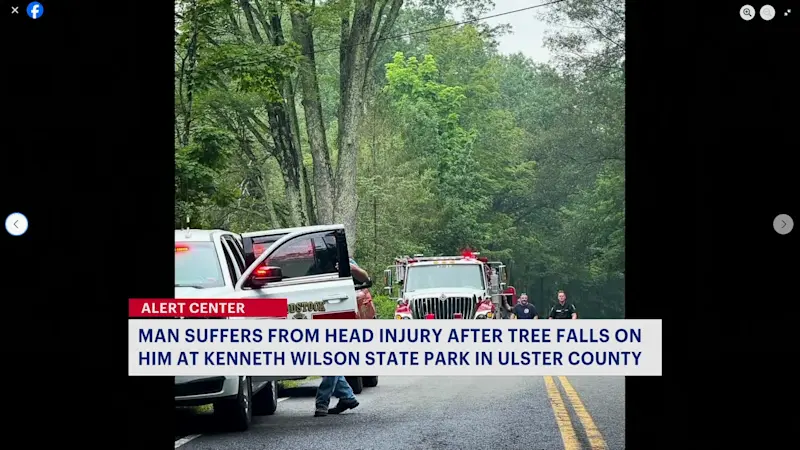Story image: Tree falls on mountain biker in Ulster County park