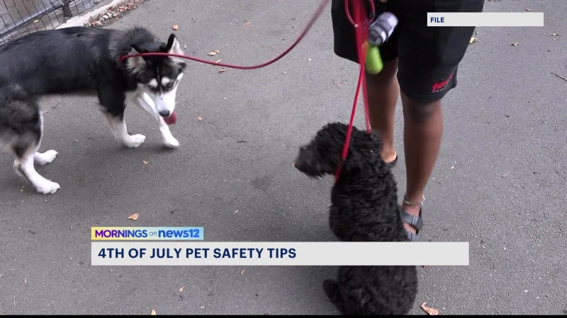 Story image: Doctor offers tips on how to care for pets on July 4