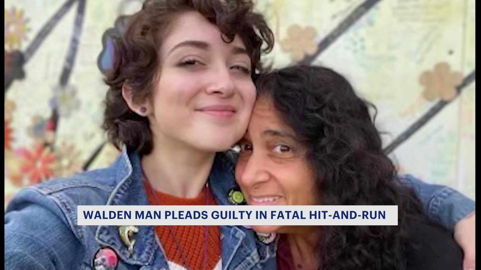 Walden hitandrun driver facing up to 3 years in prison for crash that