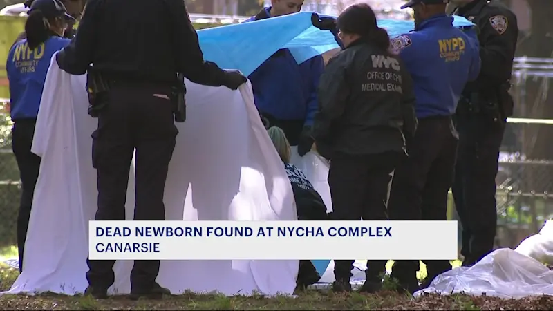 Story image: Premature baby boy found in Canarsie