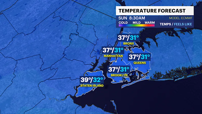 NYC4 3.png