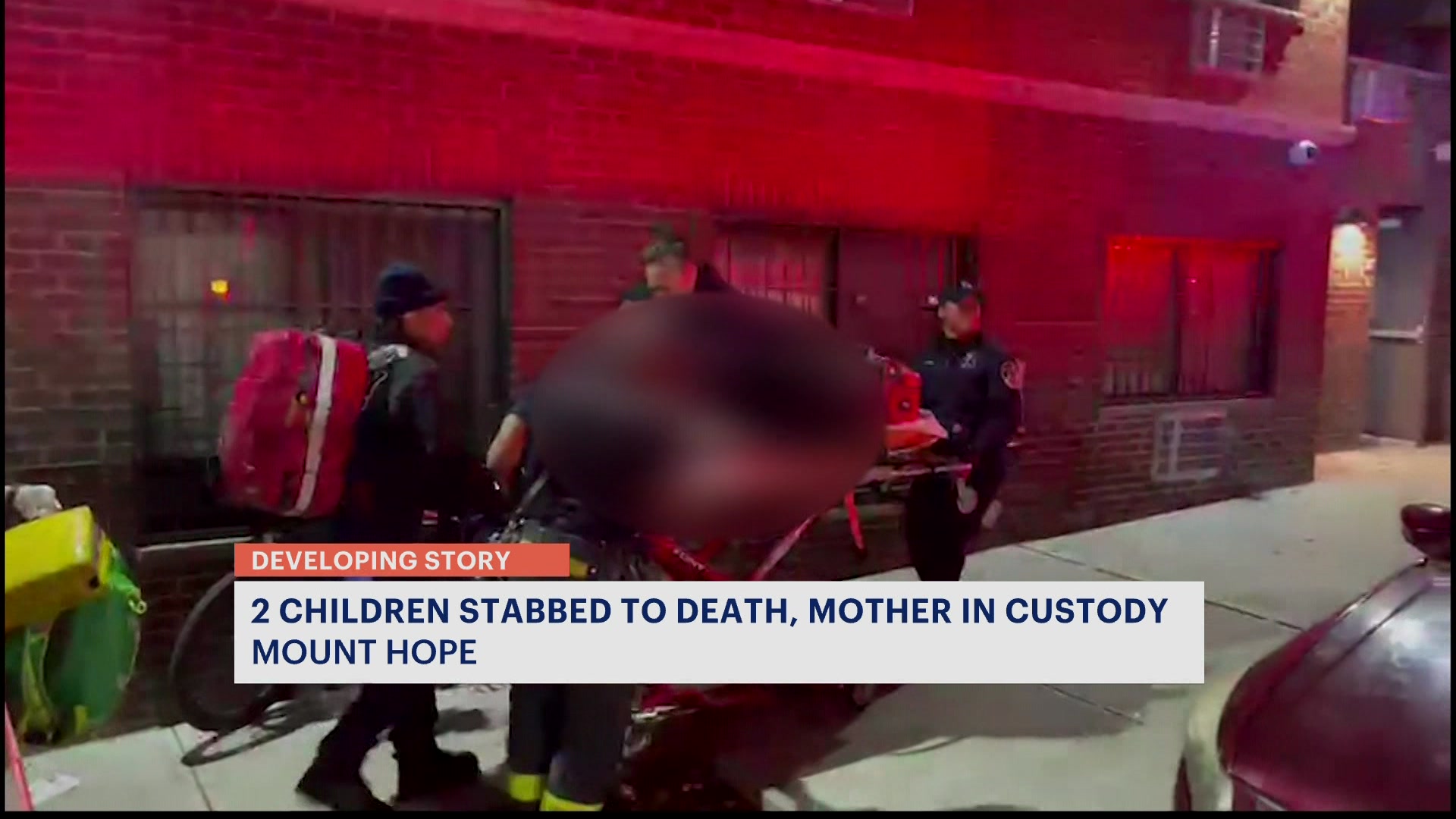 News 12 | Bronx | Police 2 Young Children Stabbed To Death In Bronx ...
