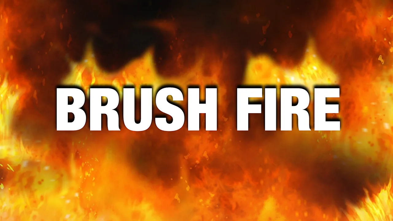 Brush Fire