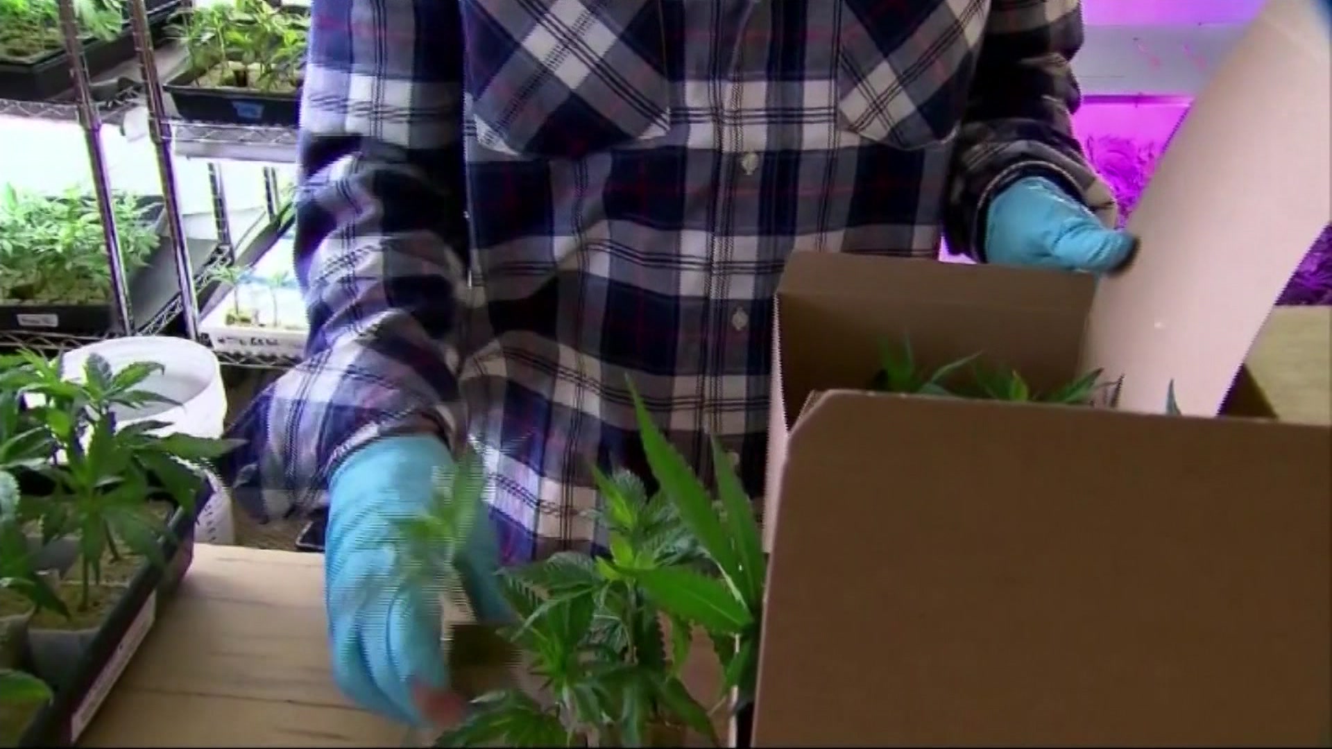 Article 247038 Hero Image